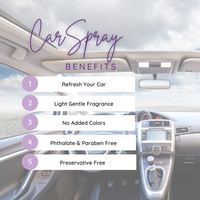 White Pineapple Car Spray