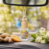Ginger Orange Scented Car Diffuser