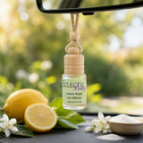 Lemon Sugar Scented Car Diffuser