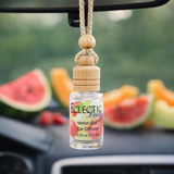 Melon Ball Scented Car Diffuser