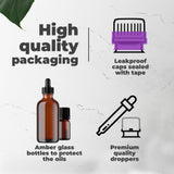 Blackberry Sage Fragrance Oil, 10 ml Premium, Long Lasting Diffuser Oils, Aromatherapy