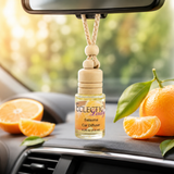 Satsuma Scented Car Diffuser