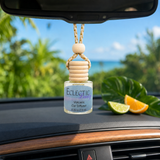 Volcanic Scented Car Diffuser